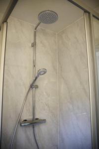 a shower with a shower head in a bathroom at FeWoLaqua in Leipzig