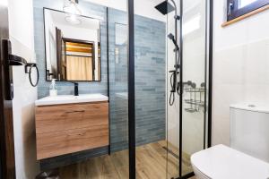 a bathroom with a sink and a shower at Carpatia Retezat in Clopotiva +55 photos