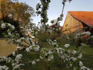 a tree with white flowers in front of a building at Zwischen Acker und Herz Hartmannshof in Algermissen