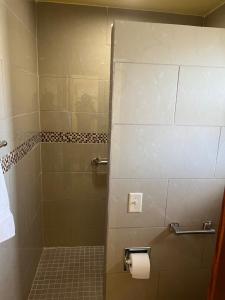 a bathroom with a shower with a roll of toilet paper at Park Motel in Marshfield