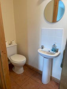 a bathroom with a toilet and a sink and a mirror at Breesy Centre Apartment in Donegal