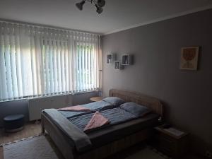 a bedroom with a bed and a window at Dombó apartman in Dombóvár