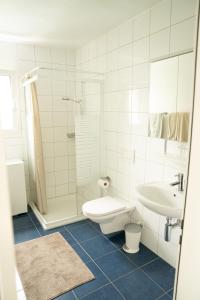 a bathroom with a toilet and a shower and a sink at Ufer Nest in Buochs in Buochs