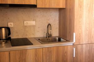 a kitchen with a stainless steel sink and wooden cabinets at Apartment Solis 8 in Stara Novalja +34 photos