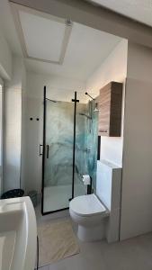 a bathroom with a toilet and a painting on the wall at Ferienhaus Sandbrise in Zingst +20 photos