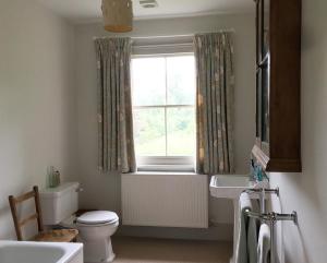 a bathroom with a toilet sink and a window at College Farm in Brackley