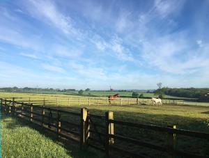 two horses in a field behind a fence at College Farm in Brackley
