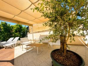 a potted tree in a pot on a patio at Oleander in Malinska