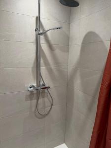 a shower with a shower head in a bathroom at Duplex T2 cosy - Hyper Centre - Parking privé in Bourges