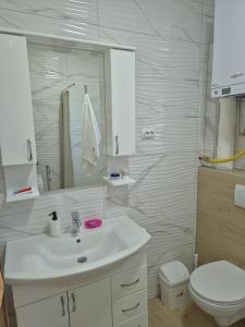 a white bathroom with a sink and a toilet at Stan na dan Banovci in Stari Banovci +15 photos