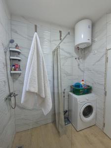 a bathroom with a washing machine and a shower at Stan na dan Banovci in Stari Banovci