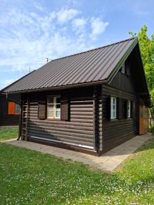 a small wooden cabin with a black roof at Brunarica Beti in Brežice