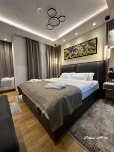 a bedroom with a large bed in a room at Vila Golija StudiovetKop in Kopaonik