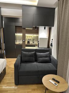 a living room with a couch and a table at Vila Golija StudiovetKop in Kopaonik