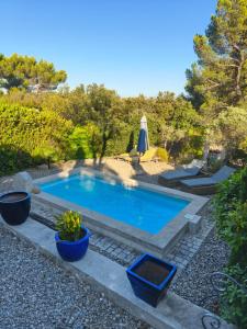 a swimming pool in a yard with two potted plants at Le Castelas - Suite Calisson in Aurons
