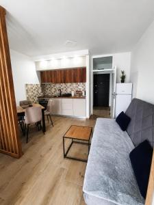 a living room with a couch and a table and a kitchen at Apartman Nati in Banja Koviljača