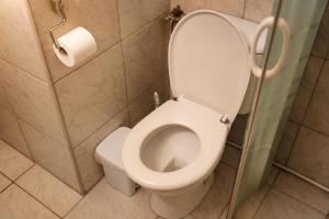 a bathroom with a toilet and a roll of toilet paper at Appartement voor Gezin Ardennen The Moon Valley in Amblève