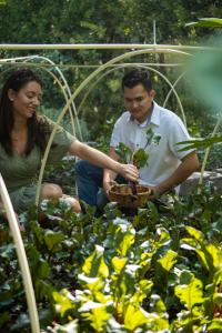 a man and a woman holding a plant in a garden at Mision del Sol Resort & Spa Adults Only in Cuernavaca