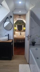 a bathroom with a sink and a mirror at Le Cosy Houdan in Goussainville +50 photos