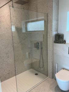 a bathroom with a glass shower with a toilet at Skyelyne in Ardvasar