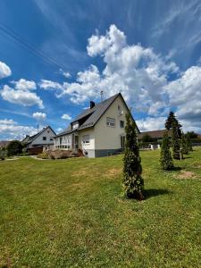 a house with two christmas trees in a yard at Moderne Ferienwohnung in Jettingen-Scheppach