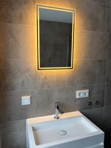 a bathroom with a white sink and a mirror at Moderne Ferienwohnung in Jettingen-Scheppach +5 photos
