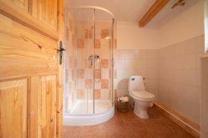 a bathroom with a shower and a toilet at Roubenka Kubovka in Černá v Pošumaví