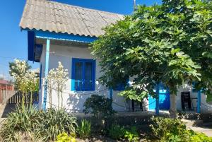 a blue and white house with a tree at Casa de vacanta Amira in Sfântu Gheorghe