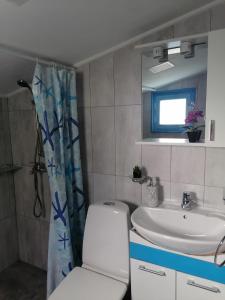 a bathroom with a toilet and a sink at Casa de vacanta Amira in Sfântu Gheorghe
