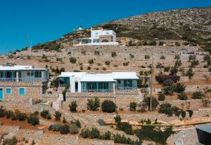 a house on top of a hill with trees at Villa Markiani in Aegiali