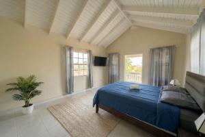 a large bedroom with a blue bed and windows at Pink Sands-At Bel Air in Saint Philip