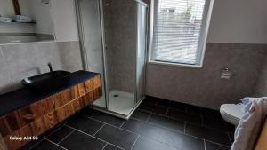 a bathroom with a shower and a sink and a toilet at Sunhill Apartamente in Karrösten +50 photos
