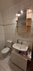 a bathroom with a toilet and a sink at Apartment in Bergheim