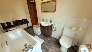 a bathroom with a sink and a toilet and a mirror at Agroturystyka Rawiczówka in Brzeżno +48 photos