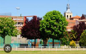 a group of trees in front of a building with a clock tower at Hostal Dobe in Benavides +9 photos
