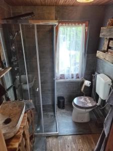 a bathroom with a shower with a toilet and a sink at Idylissches Ferienhäusle im Thüringer Wald in Suhl