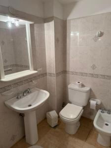 a bathroom with a white toilet and a sink at Hotel Hielo Azul 1 in El Bolsón