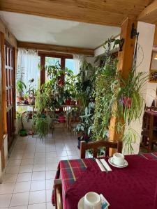 a dining room with a table and lots of plants at Hotel Hielo Azul 1 in El Bolsón +2 photos