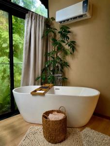 a bathroom with a tub and a plant in a window at KAÑIK APART HOTEL in Puerto Viejo