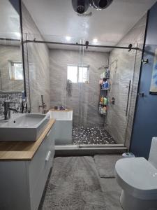 a bathroom with a shower and a sink and a toilet at Room with Shared Bathroom - Stampede & Mountains in Calgary
