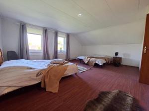 a bedroom with two beds and two windows at Genderens Buiten in Genderen