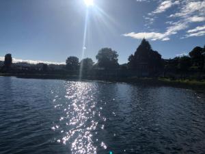 a river with the sun reflecting on the water at MamiKiki Pangui2 in Panguipulli