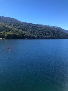 a large body of water with a mountain in the background at MamiKiki Pangui2 in Panguipulli