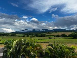 a view of a field with palm trees and mountains at Charmant logement in Lamentin