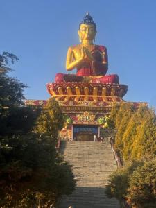 a large statue sitting on top of a staircase at Karma homestay in Ravangla +11 photos