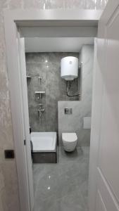 a bathroom with a shower and a toilet and a sink at ЖК Табигат in Borovoye +4 photos
