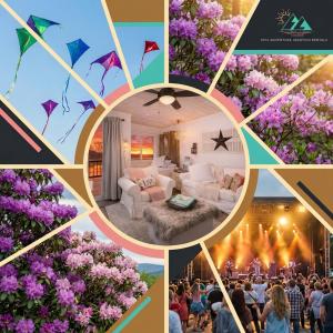 a collage of pictures of a room with flowers at Beech Mountain Studio - Trails, Concerts & Bike Park in Beech Mountain +53 photos