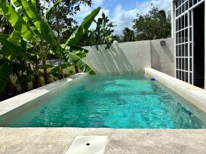 a swimming pool with a water fountain in a building at Private Pool Villa Near Bacalar Lagoon in Xul-Ha
