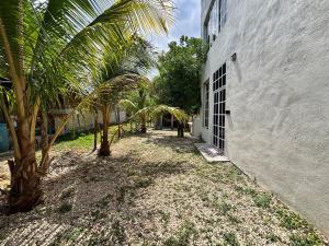 a courtyard with palm trees next to a building at Private Pool Villa Near Bacalar Lagoon in Xul-Ha