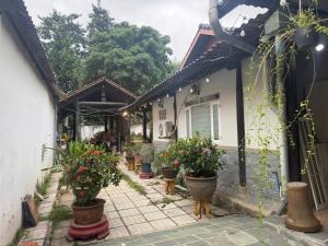 a house with potted plants on the side of it at Cactos Pool & Palms Local Stay in Ho Chi Minh City